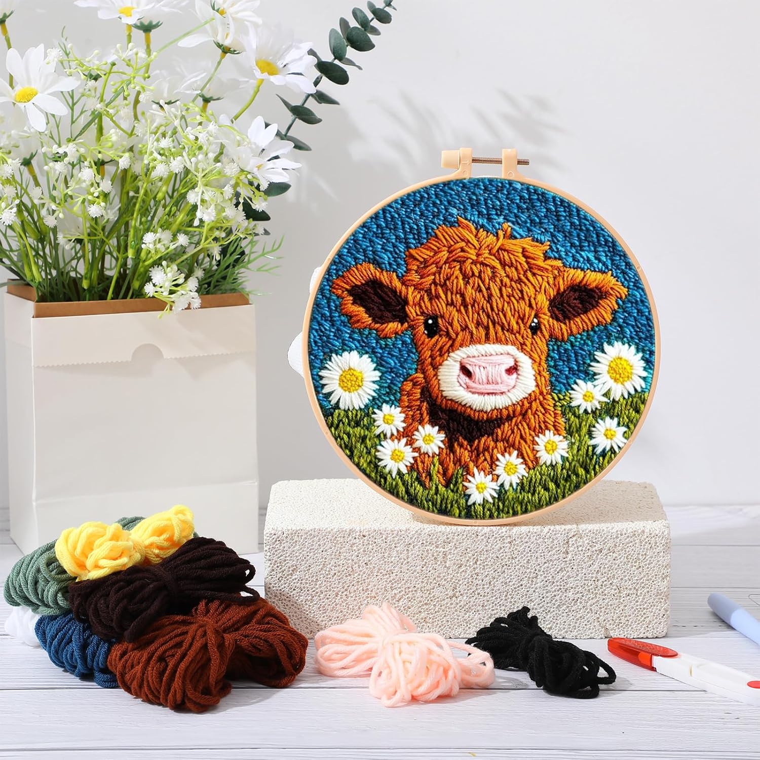 CHENISTORY Punch Needle Kit fo – Embroidery Converter Bewertung und Preis