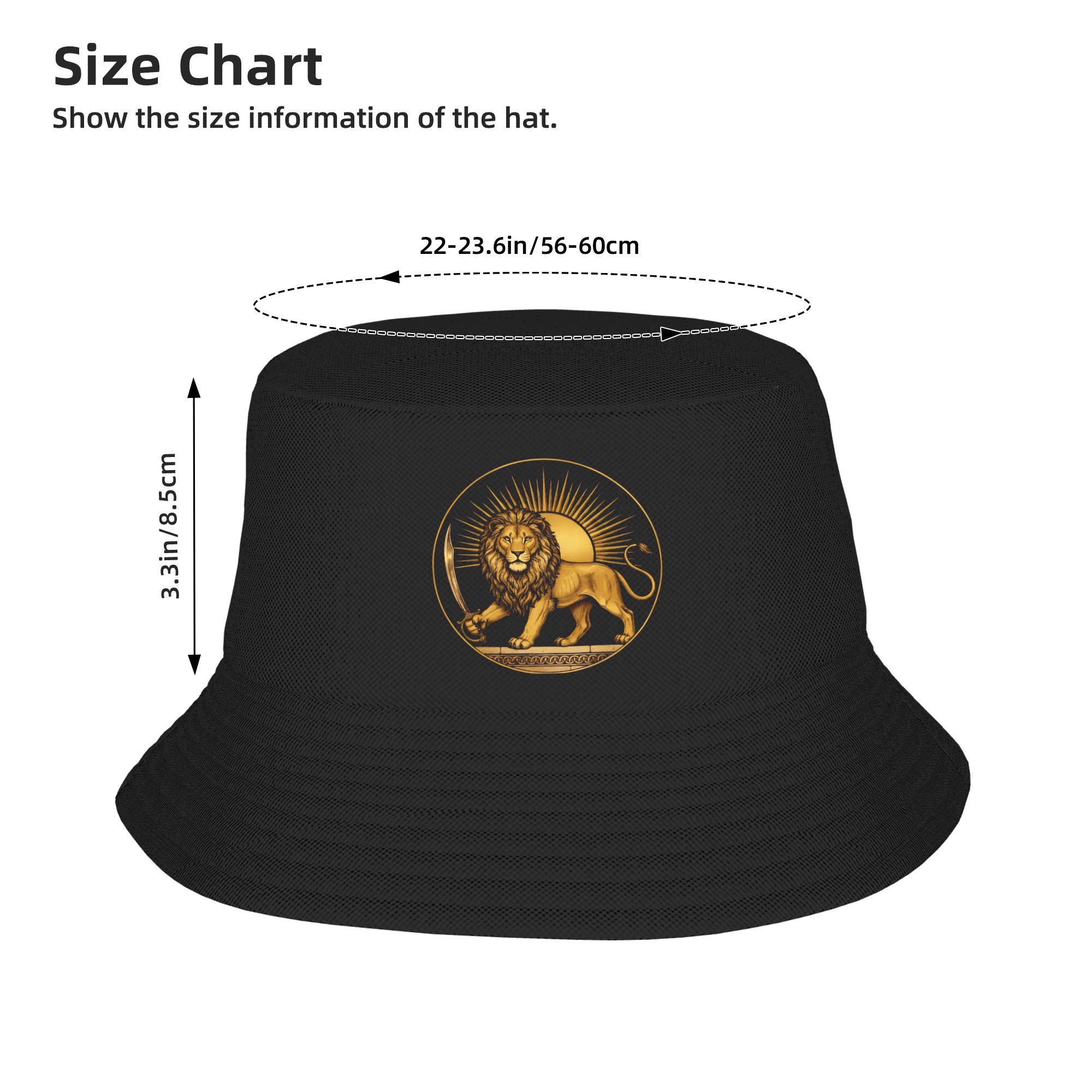 Shir o Khorshid Iran Lion Sun  – Embroidery Legacy Bewertung und Preis